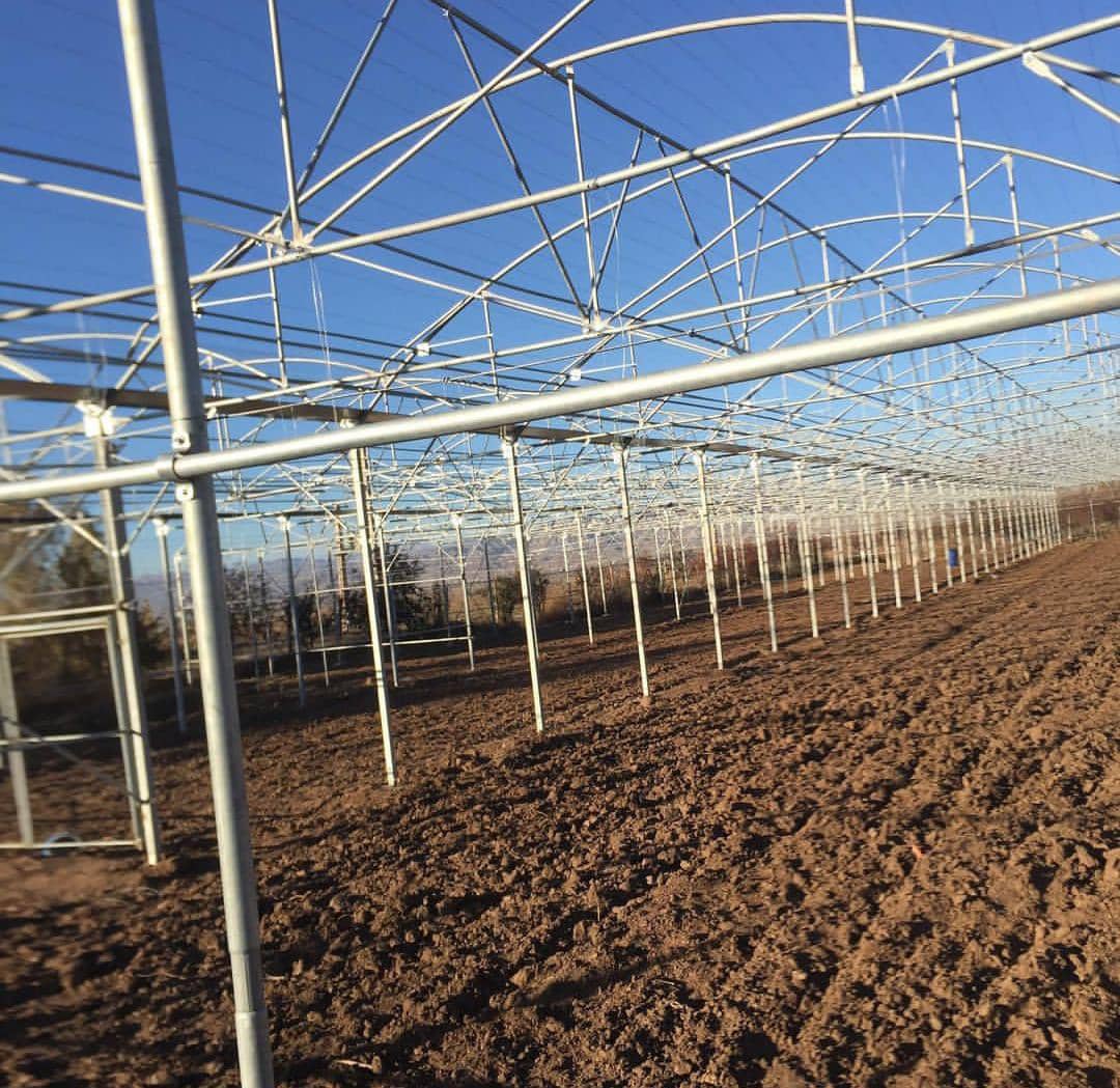 نمونه شماره1